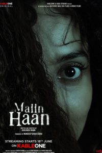 Maiin Haan (2026) Hindi Full Movie WEB-DL 480p [350MB] | 720p [850MB] | 1080p [1.3GB] x264